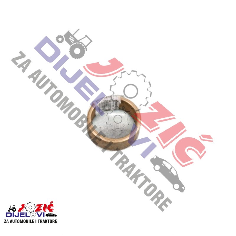 Daisy on the Ohoopee